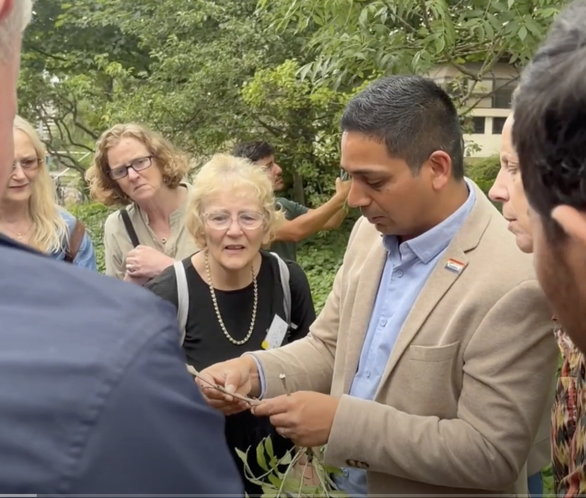 UCD Ash for Future workshop trains citizen scientists to identify and report healthy ash